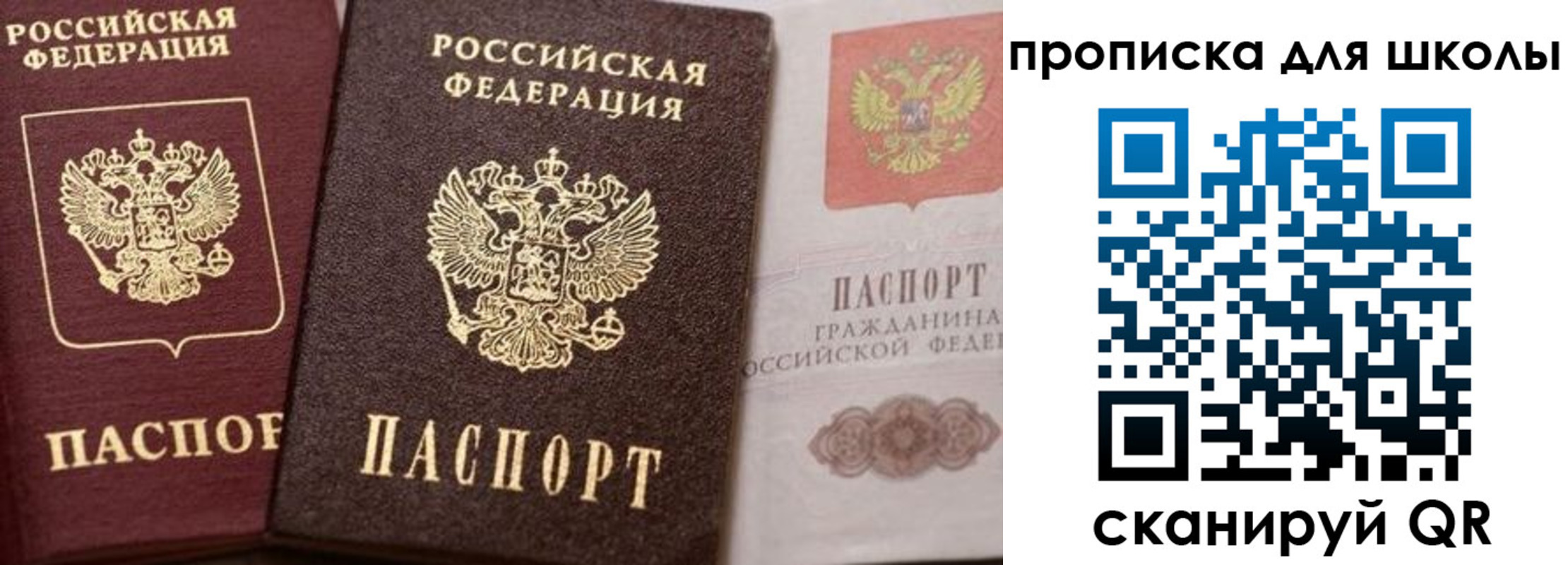 прописка законно в Бронницах